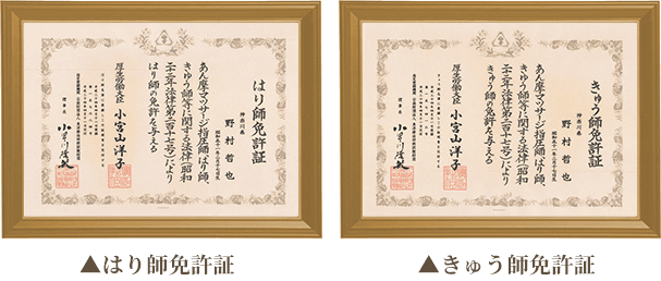 はり師免許証 きゅう師免許証